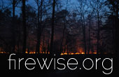 Forest Fire Safety Information